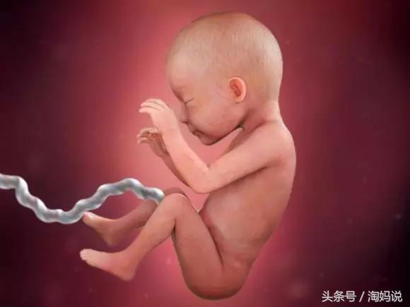 胎儿发育40周全过程注意事项,赞宝宝训练抬头的句子