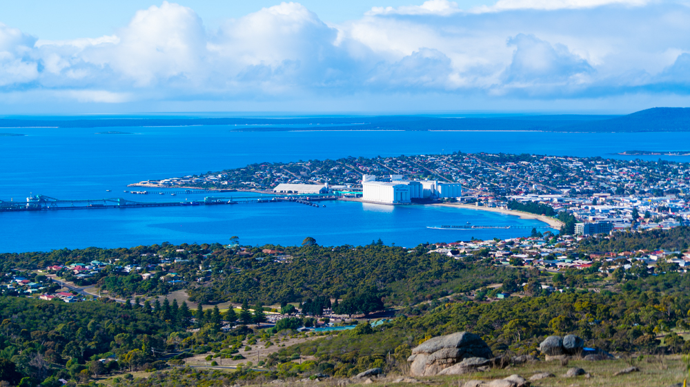 澳洲生蚝哪里最好,全球顶级生蚝多少钱一个