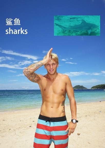 各种鱼的手势,海鱼表示动作词语