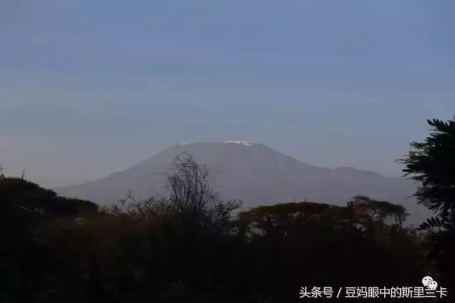 风动？树动？心动！致你，Kenya