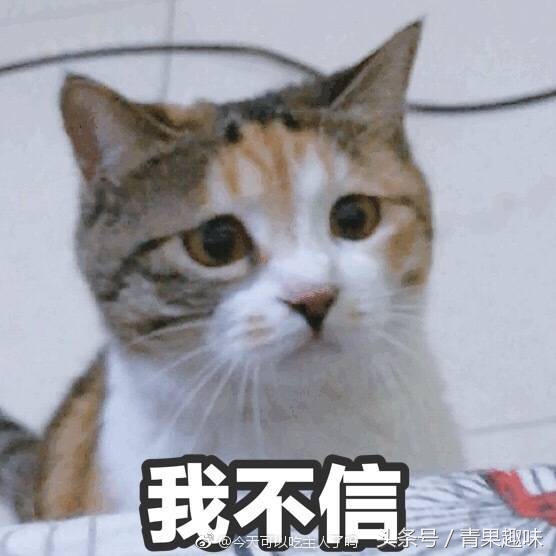 化解尴尬的最好方式,制造点尴尬也能化解尴尬