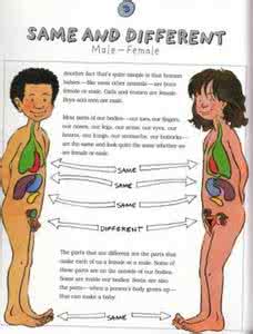 各个国家性别教育,都有哪些国家拥有性教育