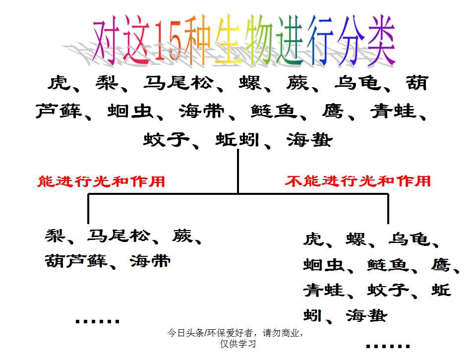 认识植物从身边开始,认识植物的根茎叶各个部分