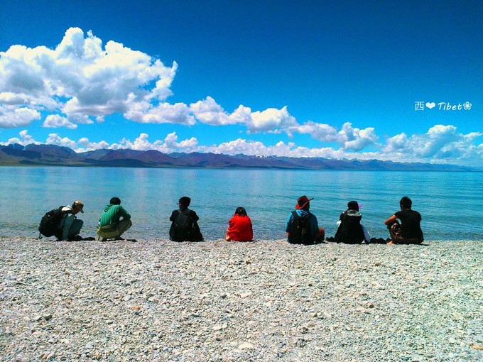 奥古斯都,August的格桑花秘境：我养你！带你去*藏西**啊！