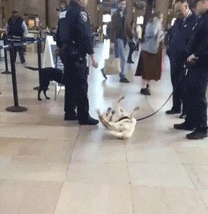 开会的时候突然发飙,开会的时候经理发飙了