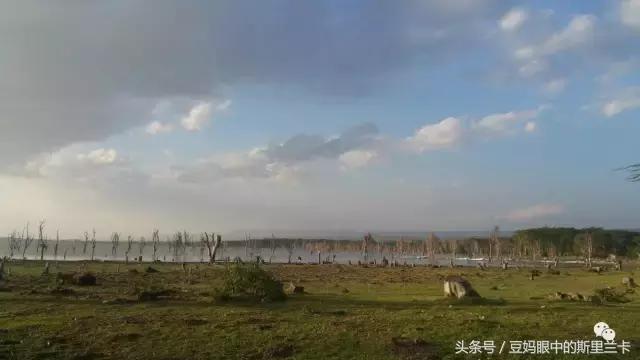 风动？树动？心动！致你，Kenya