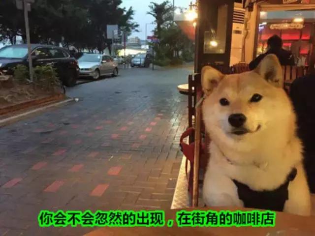 最近流行奶茶品牌有哪些名字,十大奇葩奶茶名