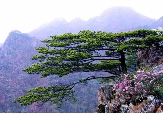 长春周边最美的8座山,长春周边值得爬的山