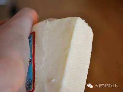 狗狗喂药小妙招药片,狗狗喂药五步法