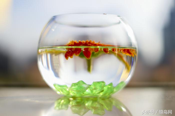 佳能50mm定焦镜头1.2样张,佳能50mmf1.4