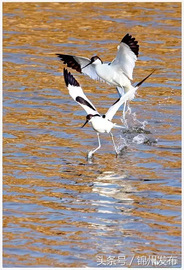 锦州市生态环境优化,你不能错过