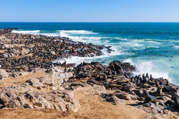 来到纳米比亚，你会知道什么才是非洲应有的样子！