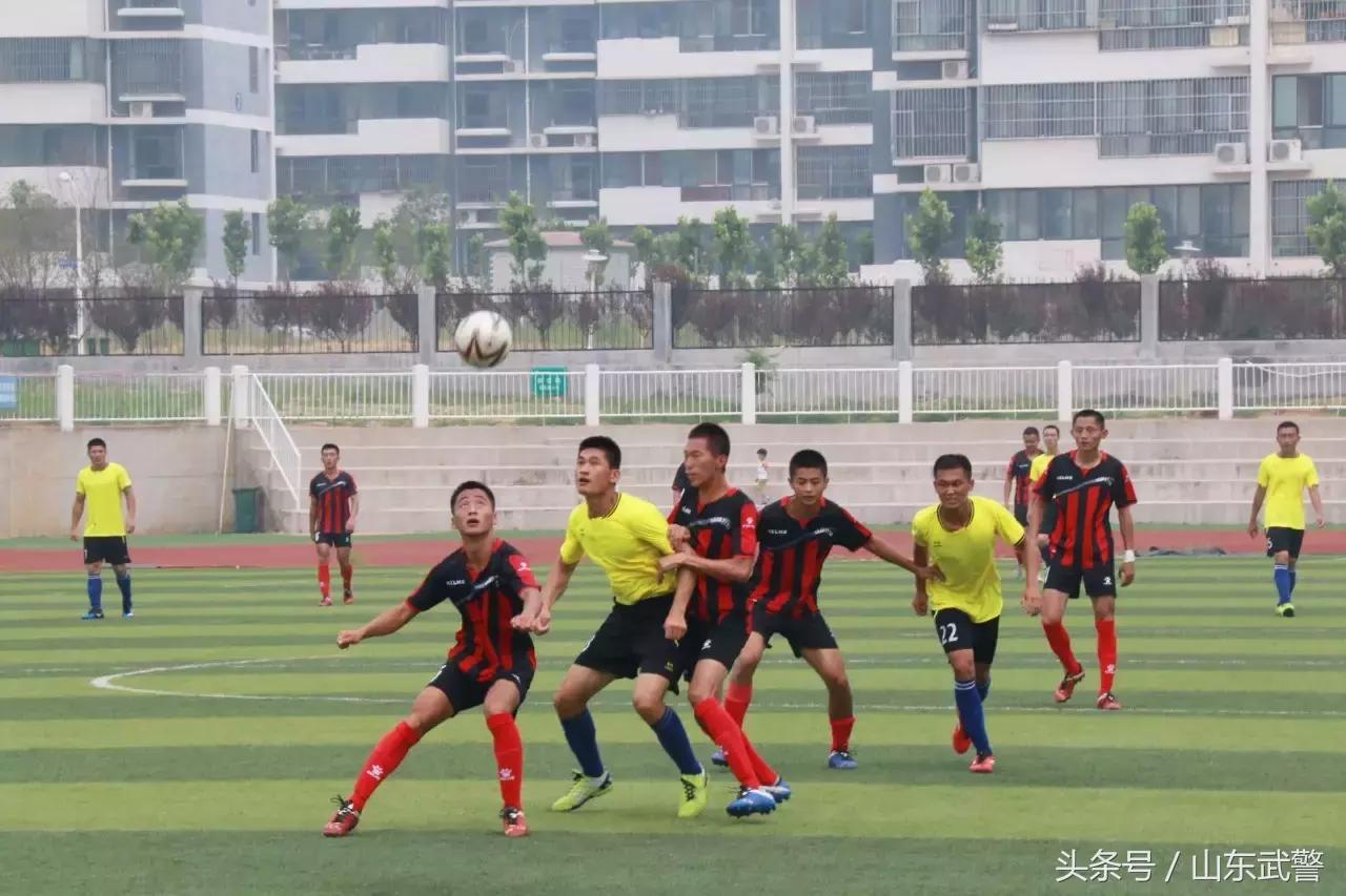 卫士动力视频,卫士动力杯