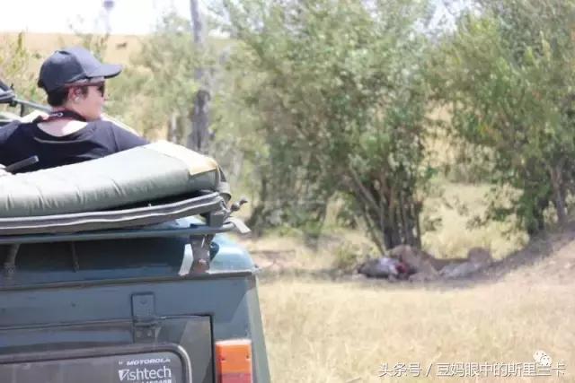 风动？树动？心动！致你，Kenya