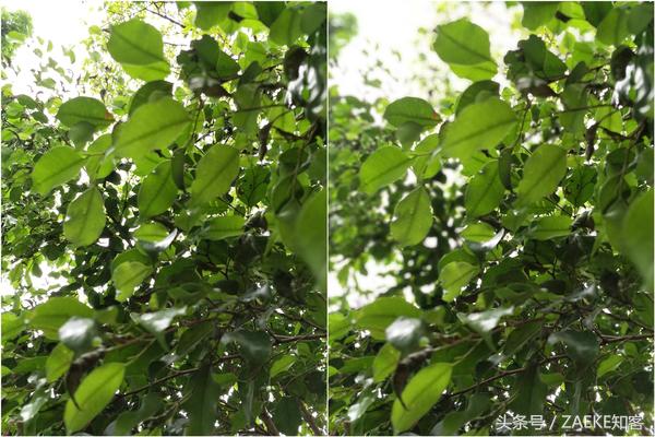 一加手机5评测,一加5评测吃鸡