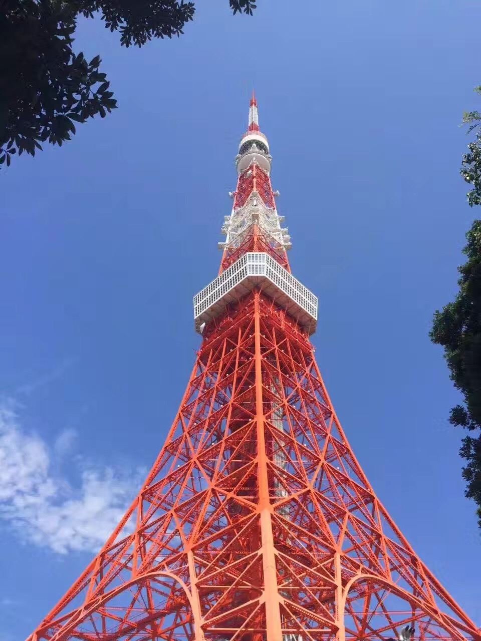 丽星邮轮8天7晚自由行攻略,丽星邮轮双子星号日本攻略