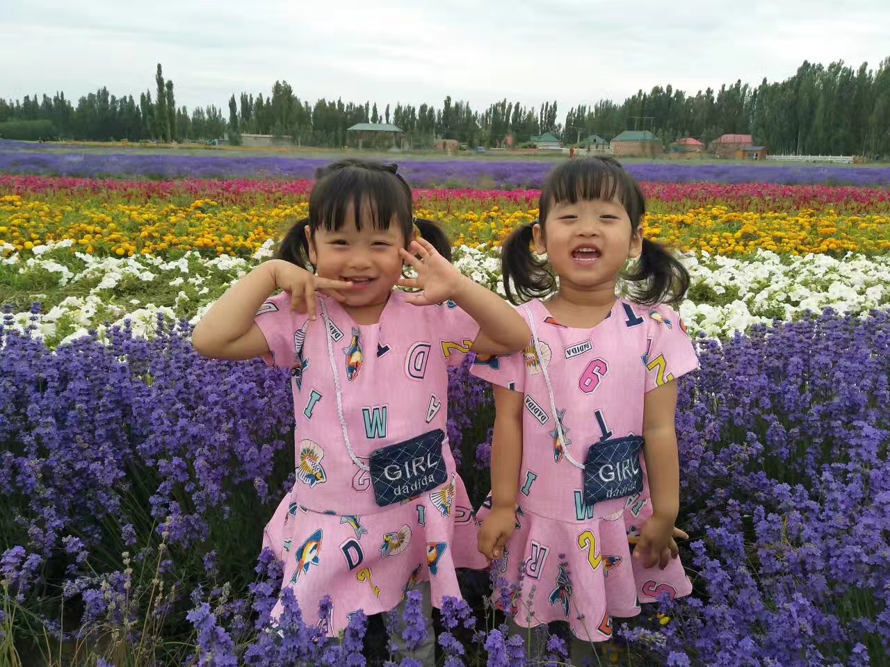 天津塘沽的回忆,天津塘沽名胜古迹