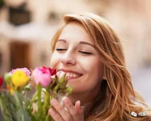 伊帕尔汗玫瑰纯露气味,洋甘菊纯露气味难闻正常吗