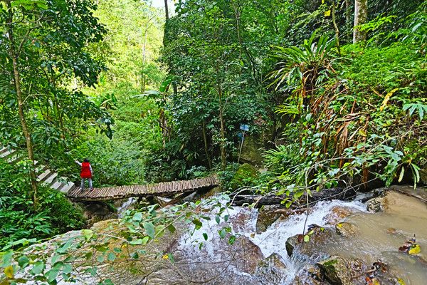 腾冲樱花谷风景区,腾冲十里樱花风景区