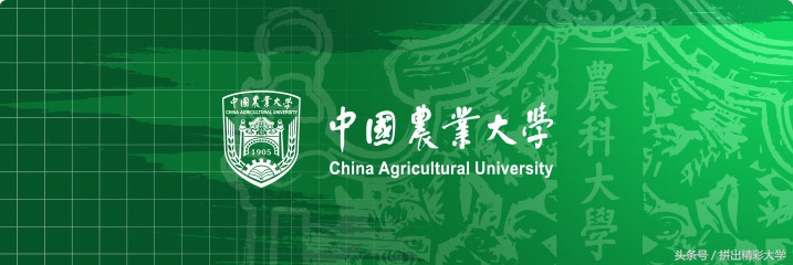 全国顶尖十所大学的校训,985大学排名表及校训
