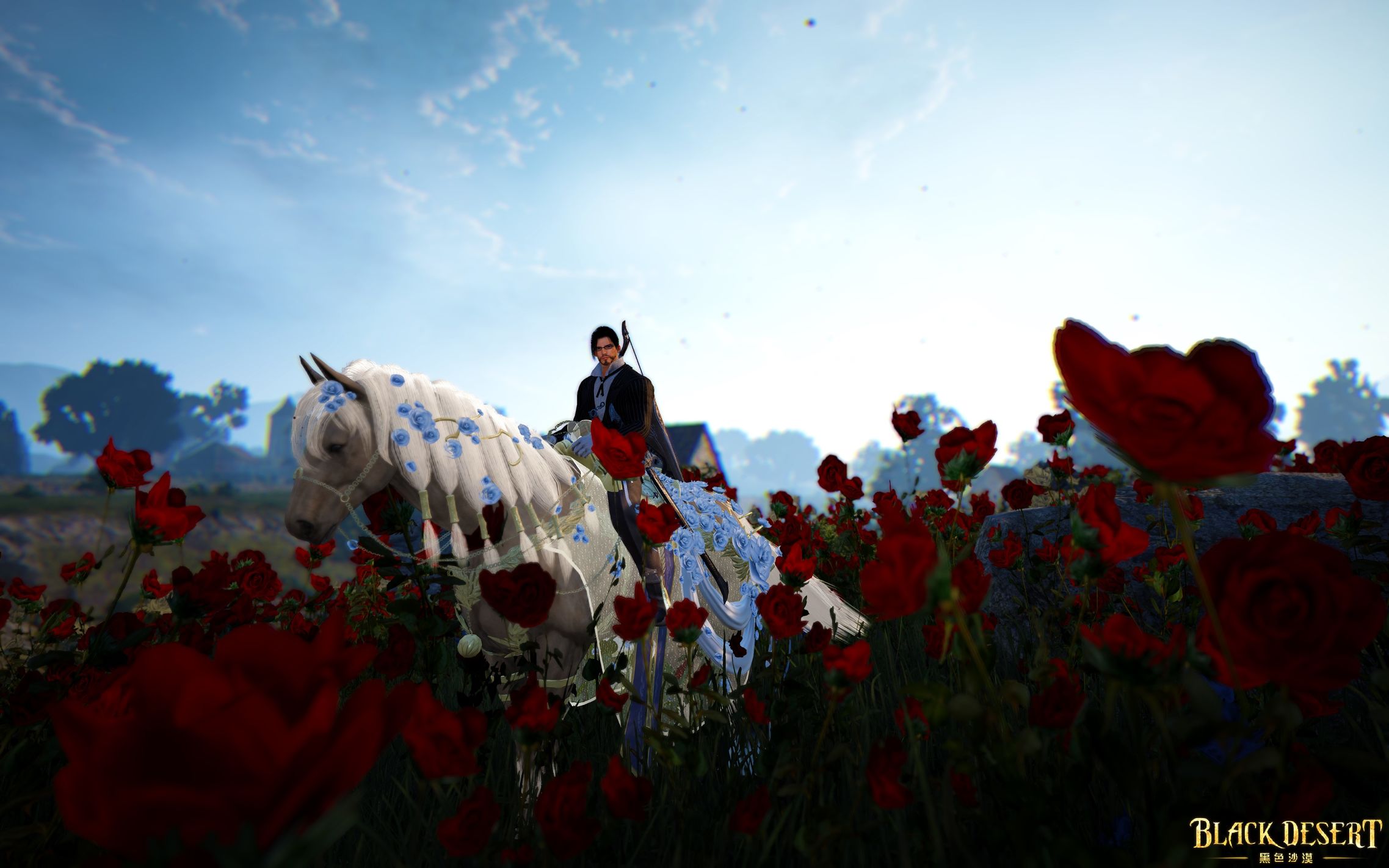 黑色沙漠端游知识,黑色沙漠新人怎么玩