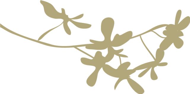 学会数理化真的走遍天下都不怕,现在学会数理化还能走天下了吗