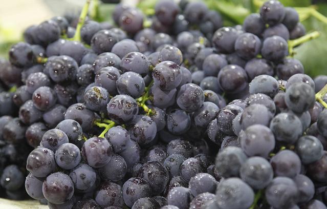 打造15分钟便民生活圈,城市一刻钟便民生活圈试点名单