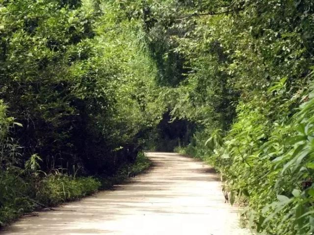 长春周边最美的8座山,长春周边值得爬的山