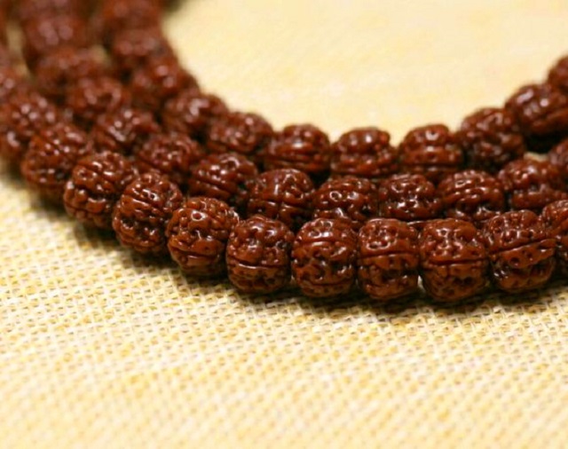 极品金刚菩提怎样挑选，金刚菩提籽多少钱一颗？你想知道的都在这