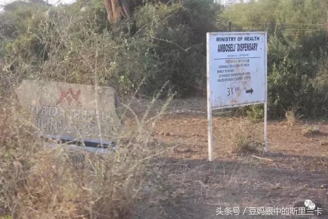 风动？树动？心动！致你，Kenya