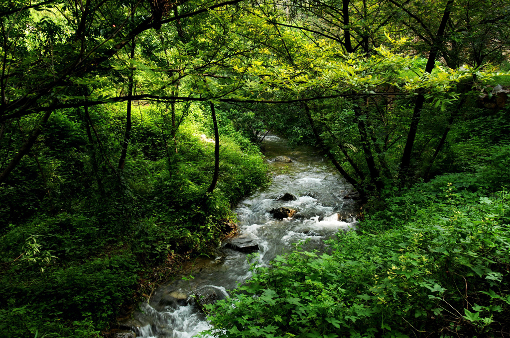 淄博十大最美旅游景点,淄博有山有水免费景点
