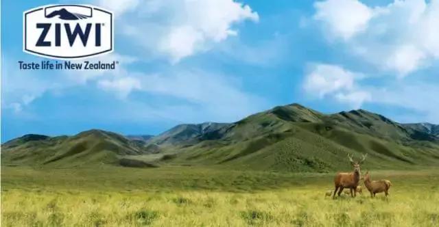 2023年pfa颁奖典礼,pfa年度最佳球员候选名单出炉