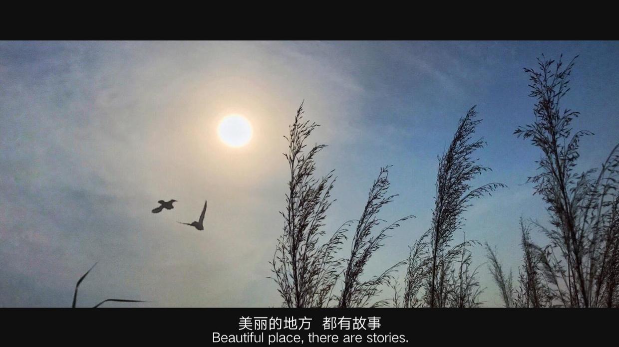 怎么给照片弄上自己的签名水印,照片如何添加印章水印