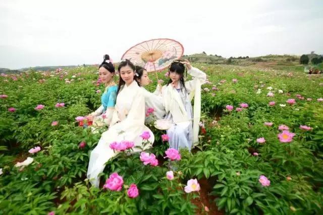 金堂县创建旅游城市,打造天府旅游县