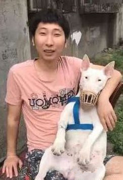 下班回来抄作业,下班回家就炒了一道菜