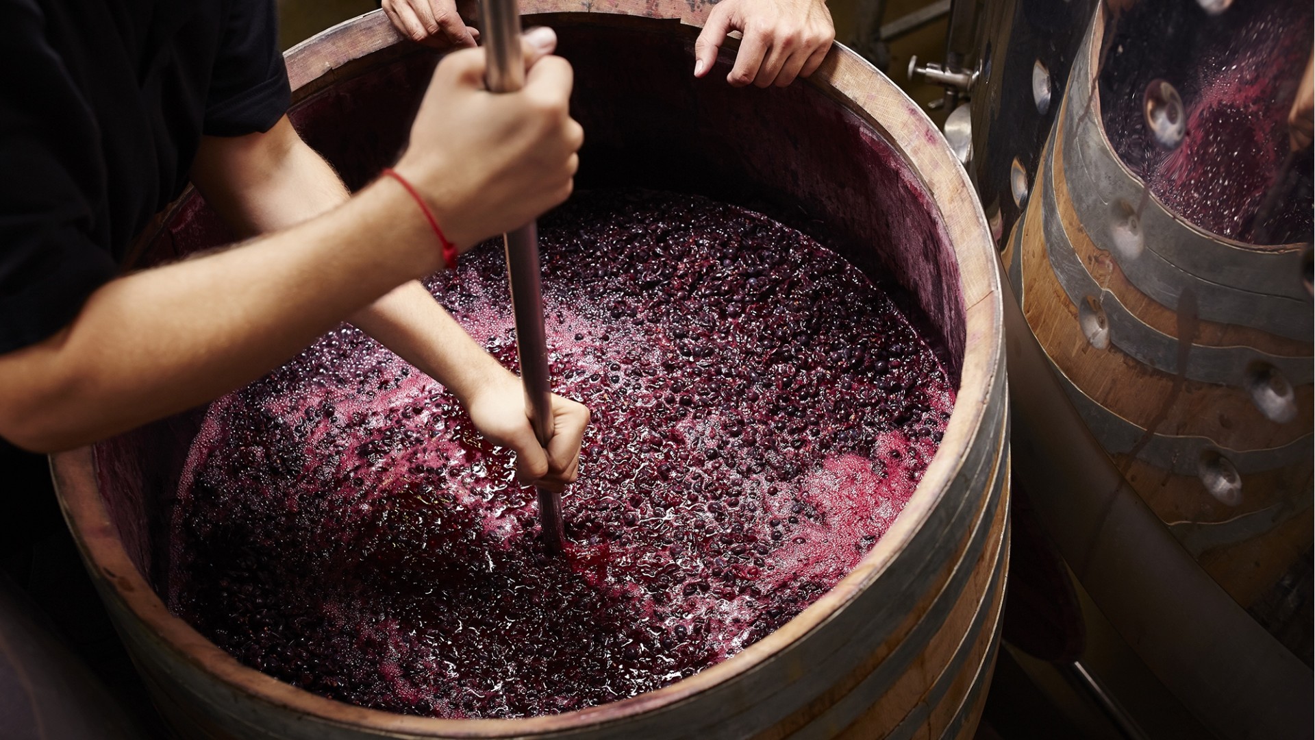 国外葡萄酒是用脚踩的吗,脚踩出来的葡萄酒好喝吗