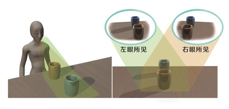 郑医生科普小知识,郑医生讲弱视