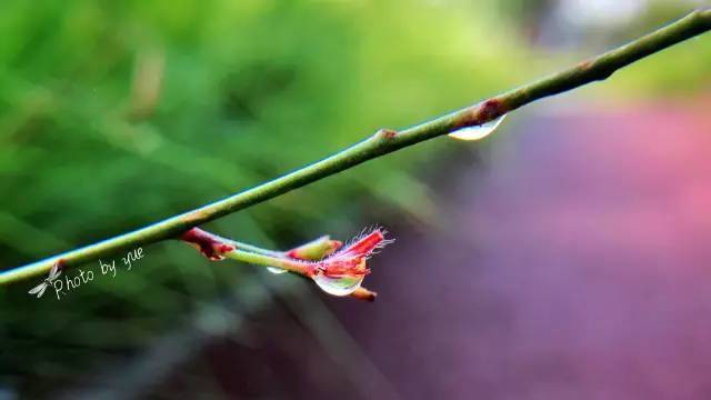 怎么给照片加印章水印,怎么在图片上加印章效果水印