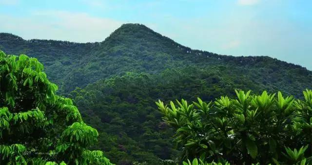 花如此多娇,花都如此多娇全文免费阅读