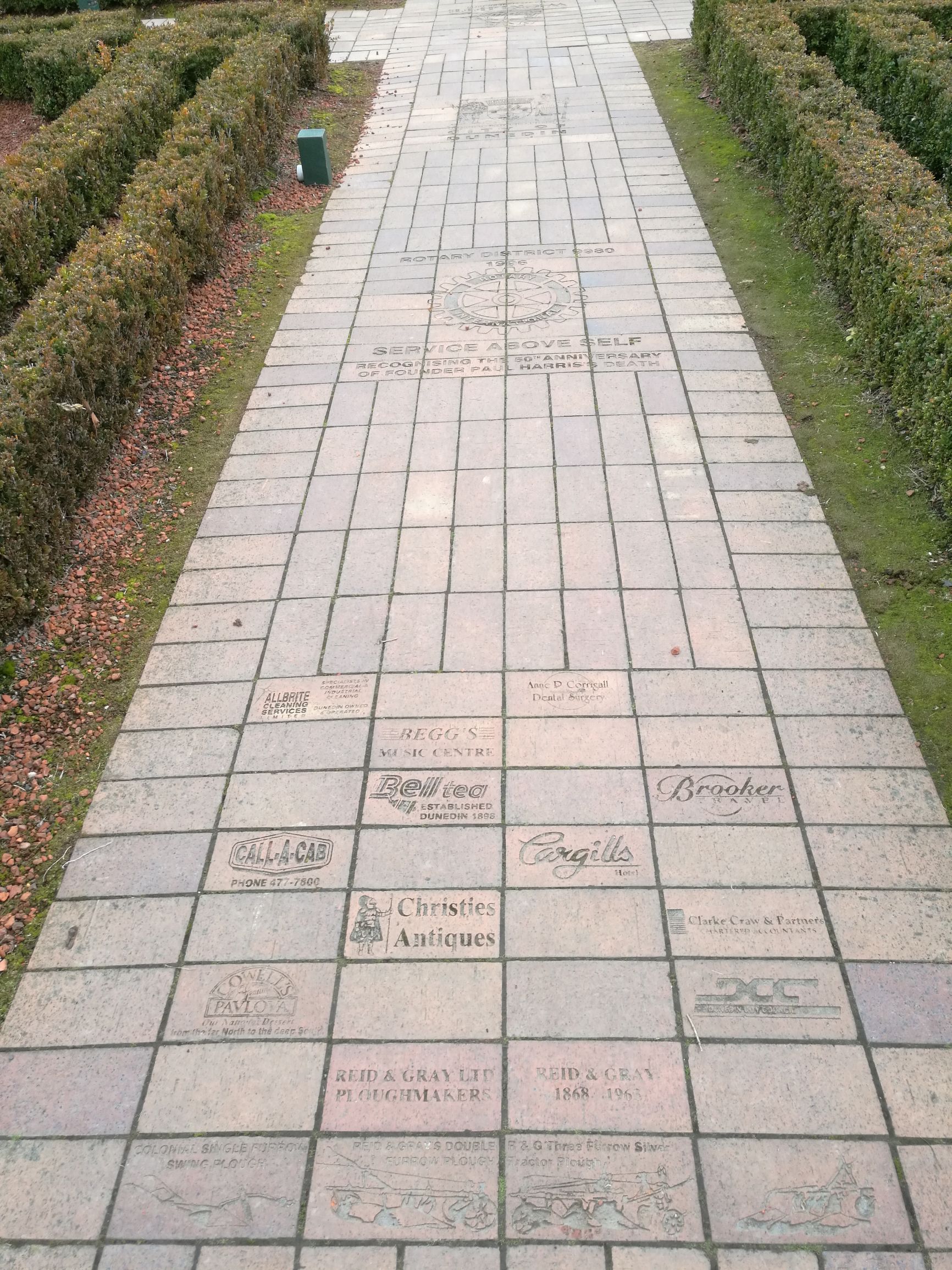 新西兰但尼丁城市介绍,新西兰哪个城市比较宜居