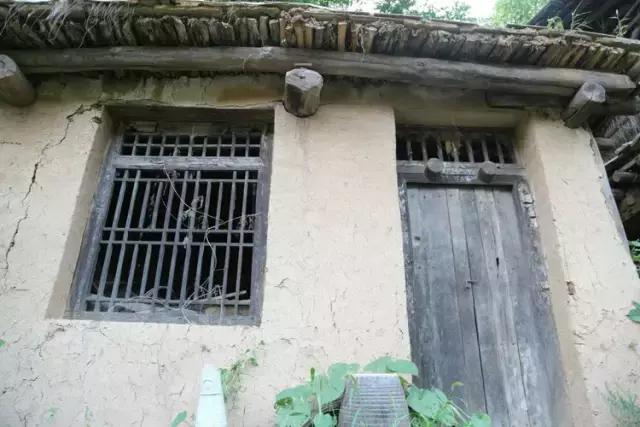 山西历山舜王坪大草原攻略,看云海高山草甸的地方