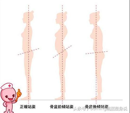 要做到这几点才能长高,上半身如何迅速长高