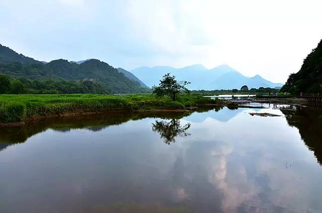 北纬30°神秘之境,在高山草甸、追逐鹿群,这里美的像天堂!