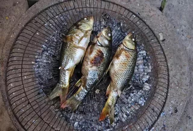 世界上有两个苦难的民族苗族,苗族是一个世界性民族