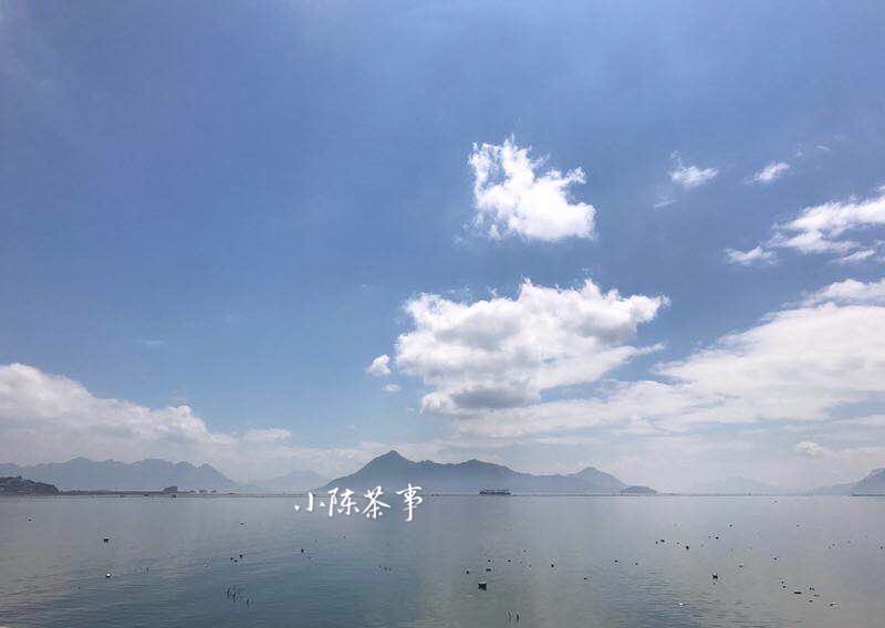 白茶红茶绿茶普洱茶哪种最好,红茶绿茶白茶岩茶普洱茶