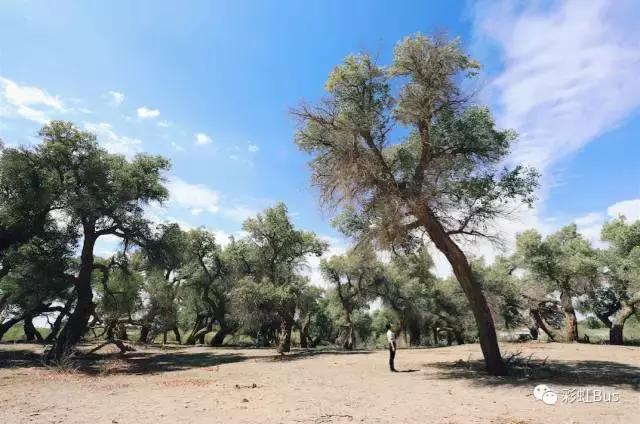 90后情侣骑摩托在额济纳，不小心拉了次最贵的屎