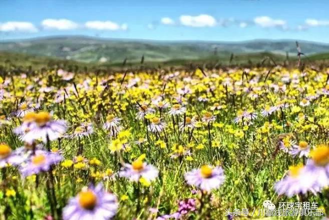 暑期蜜月旅行,暑假蜜月旅游推荐国内