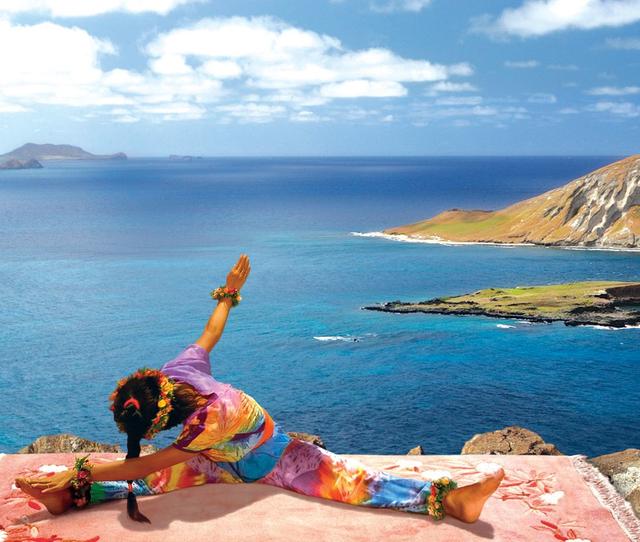 蕙兰瑜伽中蕙兰现状,蕙兰瑜伽的蕙兰年龄