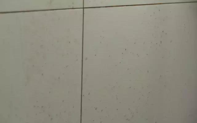 去油污厨房神器真实测评,德国厨房清洁神器