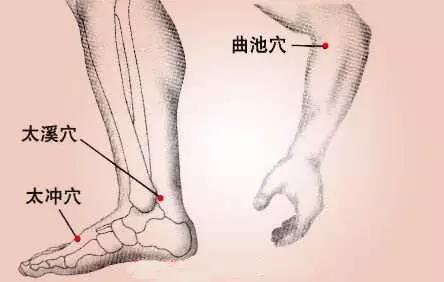 朗朗上口的穴位歌,常用穴位歌